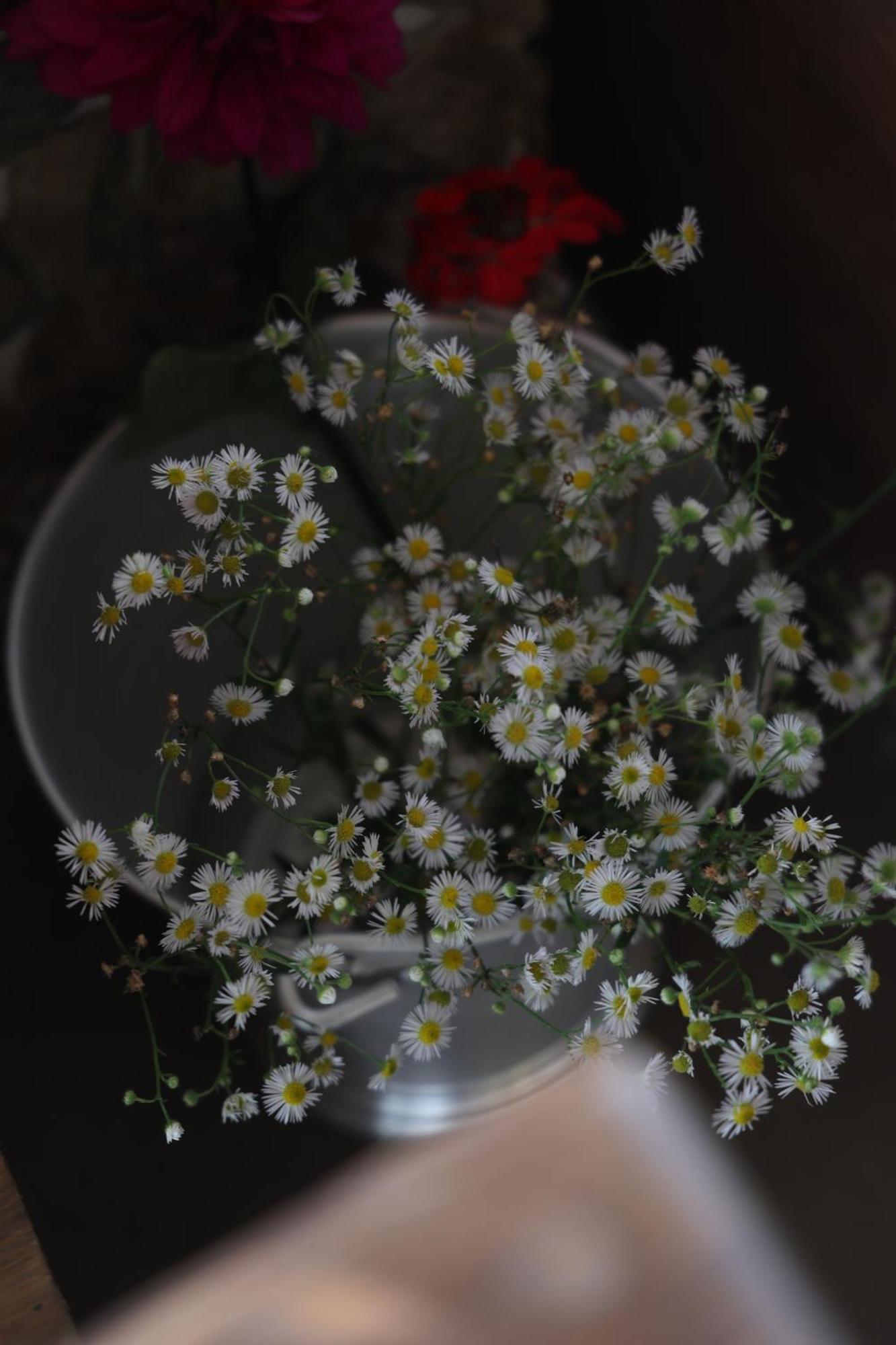 Ecstasy Stays Mukteshwar Zewnętrze zdjęcie